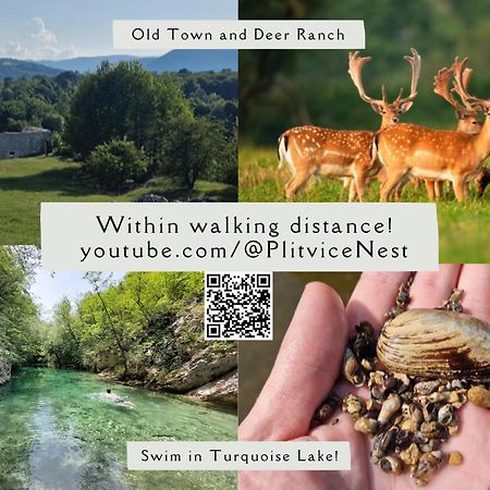 Апартаменти Plitvice Nest 2 Раковица Екстер'єр фото